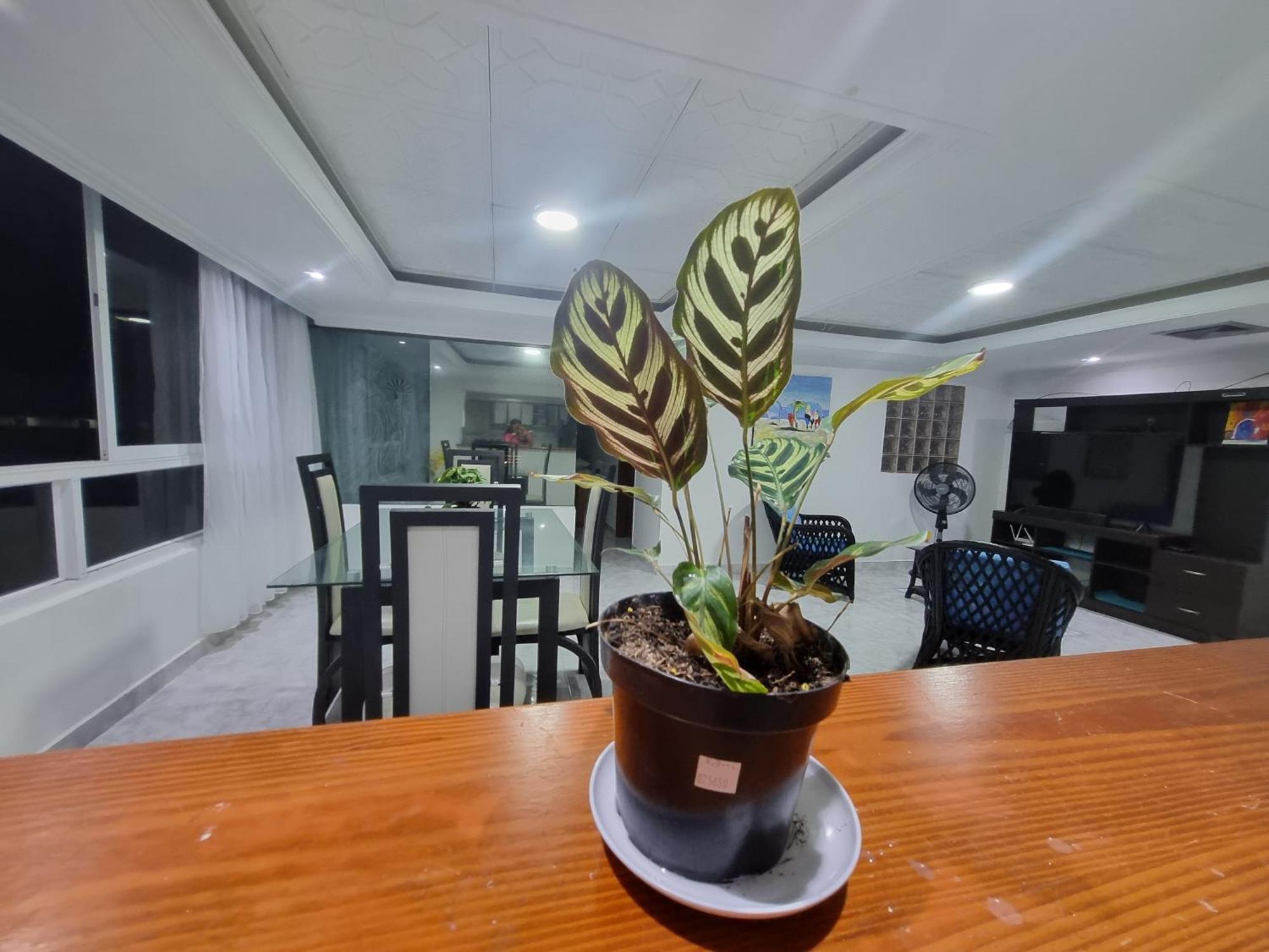 Bahia Fragata 803a Apartment San Andres (San Andres and Providencia Islands)